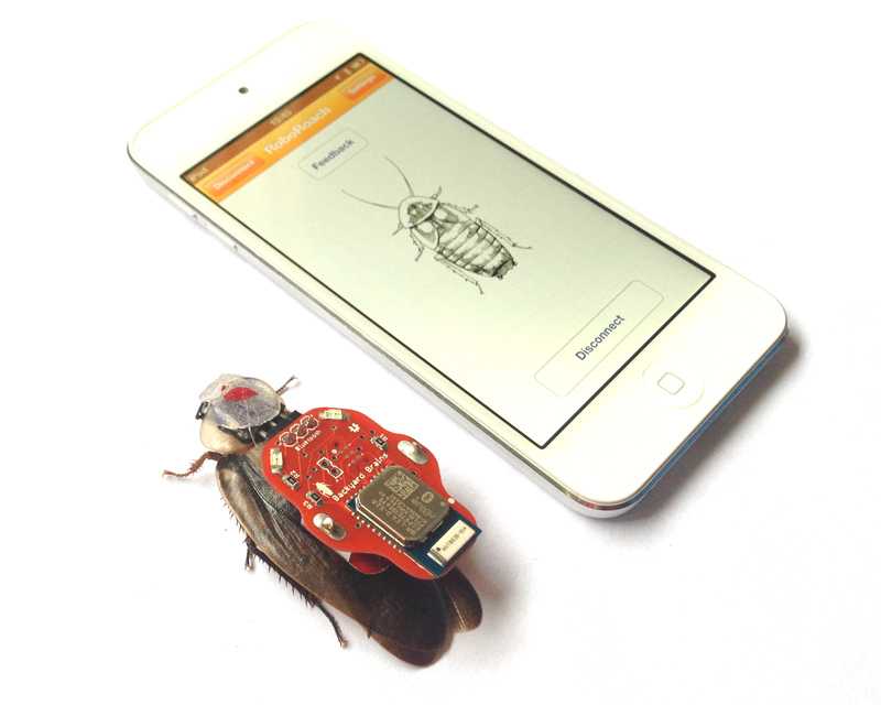 RoboRoach iPod